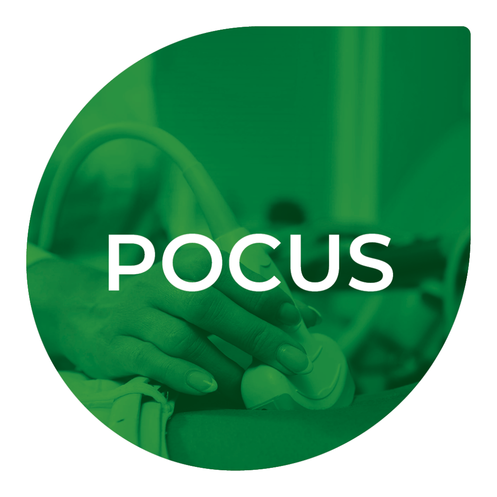 Pocus - EDE 1-Point of Care Ultrasound course